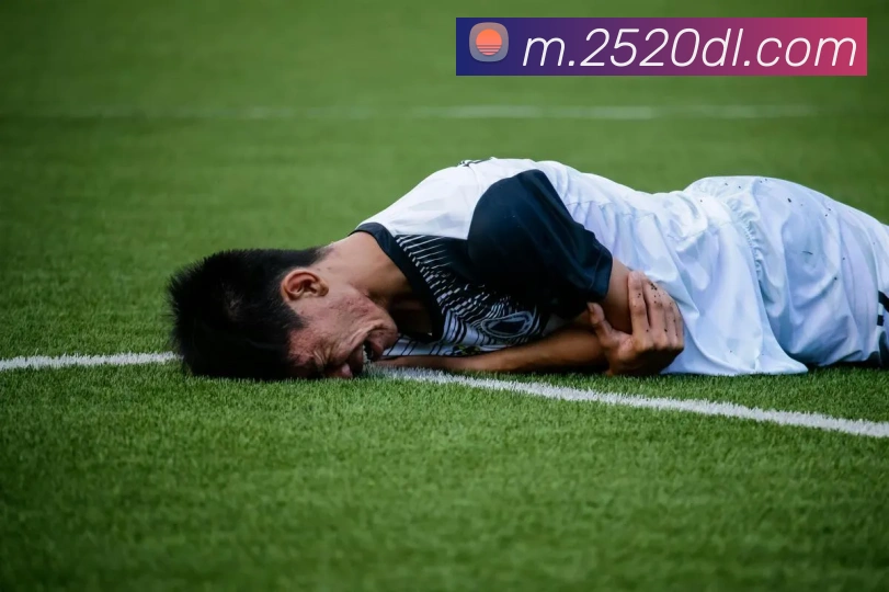 多乐游戏服务体系